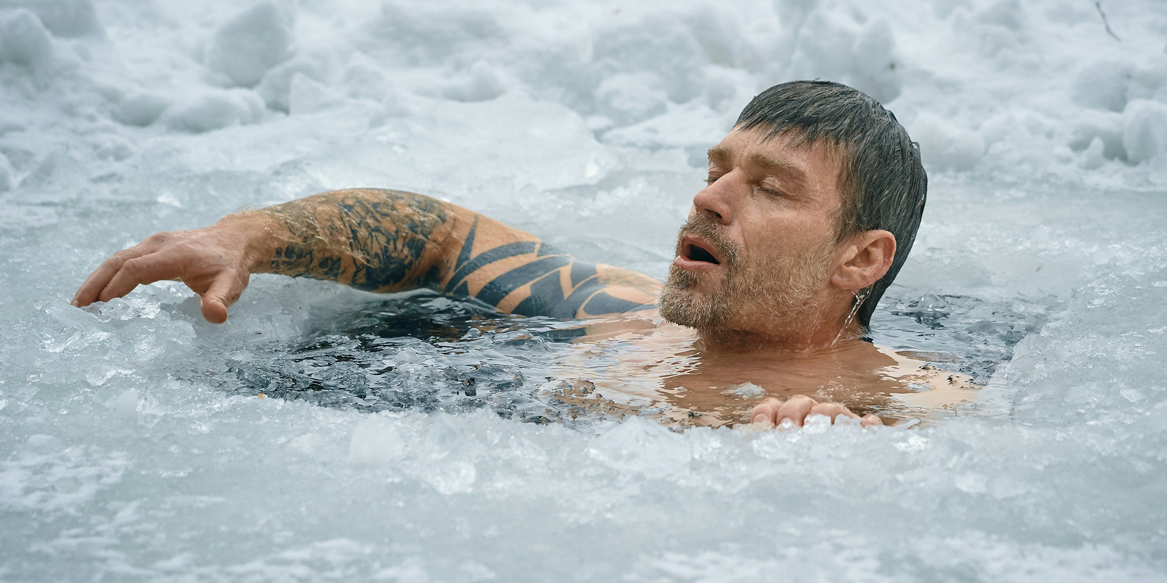 Proven to Enhance the Immune System